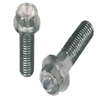 121037100 3/8-16 X 1 12PT BOLT 18-8